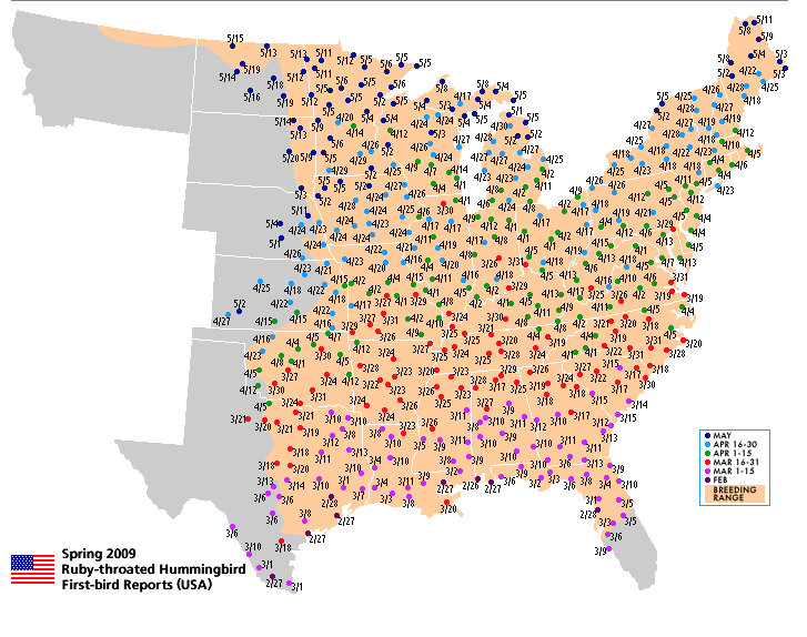hummingbird migration map hummingbird migration map