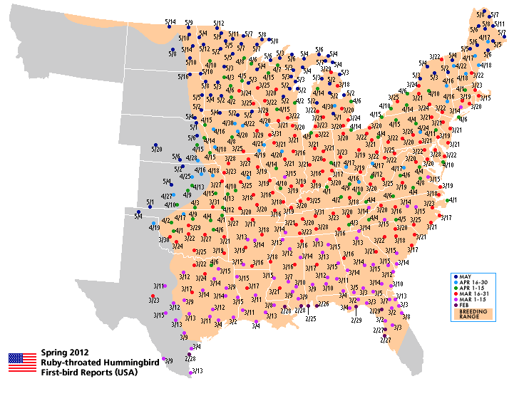 Hummingbird Sightings Map 2021 Hummingbird Migration Maps - Hummingbirds In Northern & Central Nj